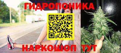 круглые Тара