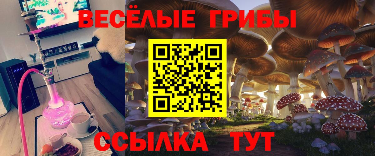 Псилоцибиновые грибы Magic Shrooms  где купить наркоту  Нижний Новгород  Псилоцибиновые грибы мицелий  Вход с VPN 